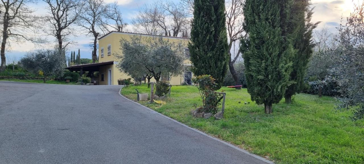 Oltre La Siepe Apartment Nepi Екстериор снимка