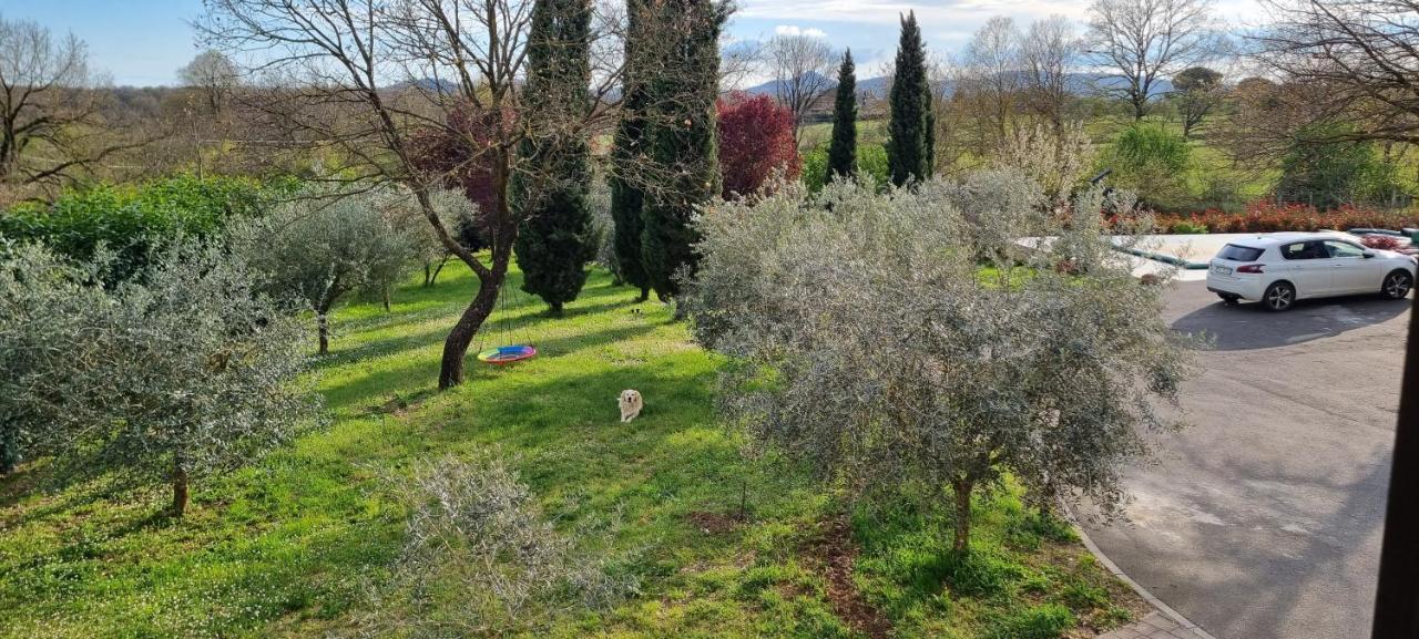 Oltre La Siepe Apartment Nepi Екстериор снимка